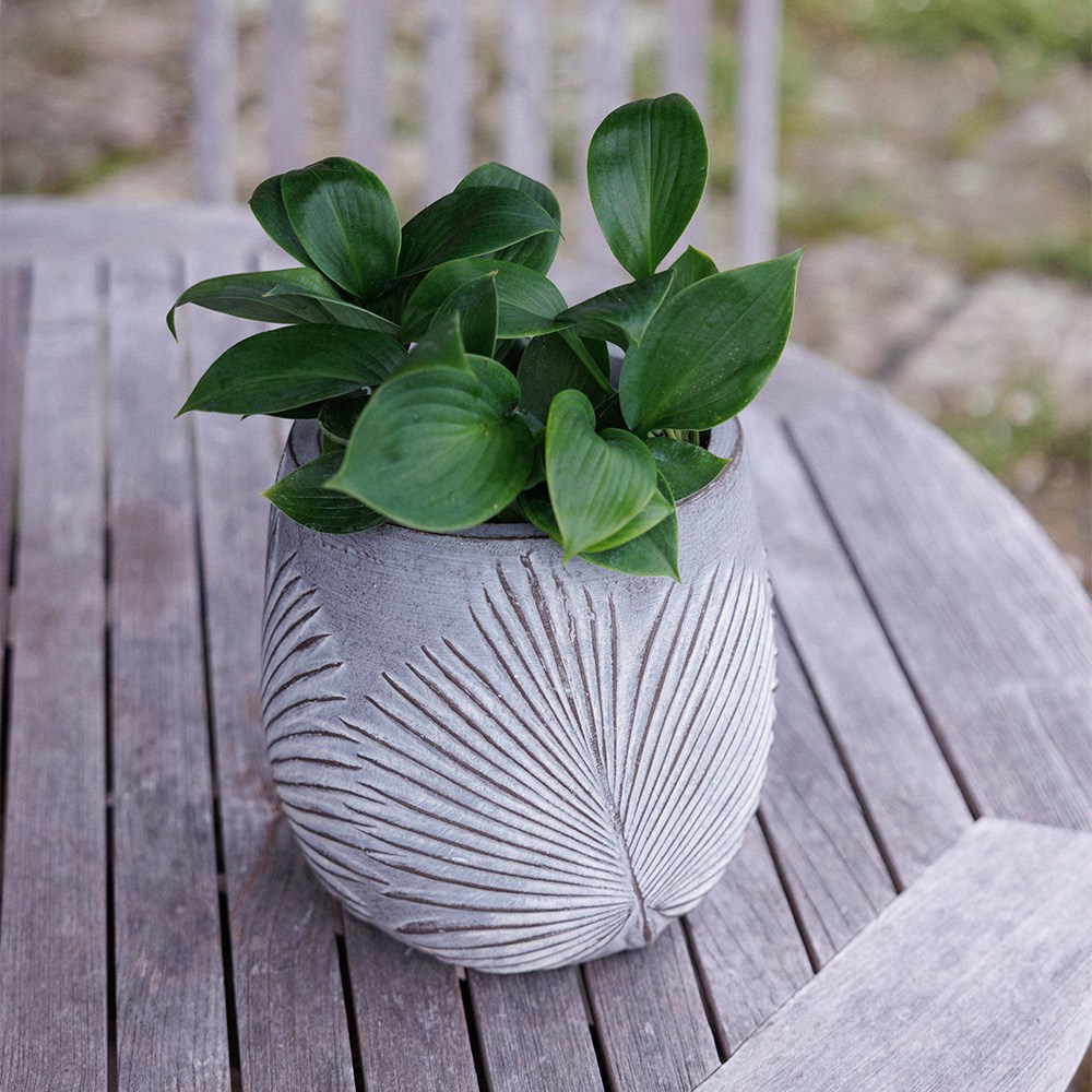 Set of three grey planters with leaf design