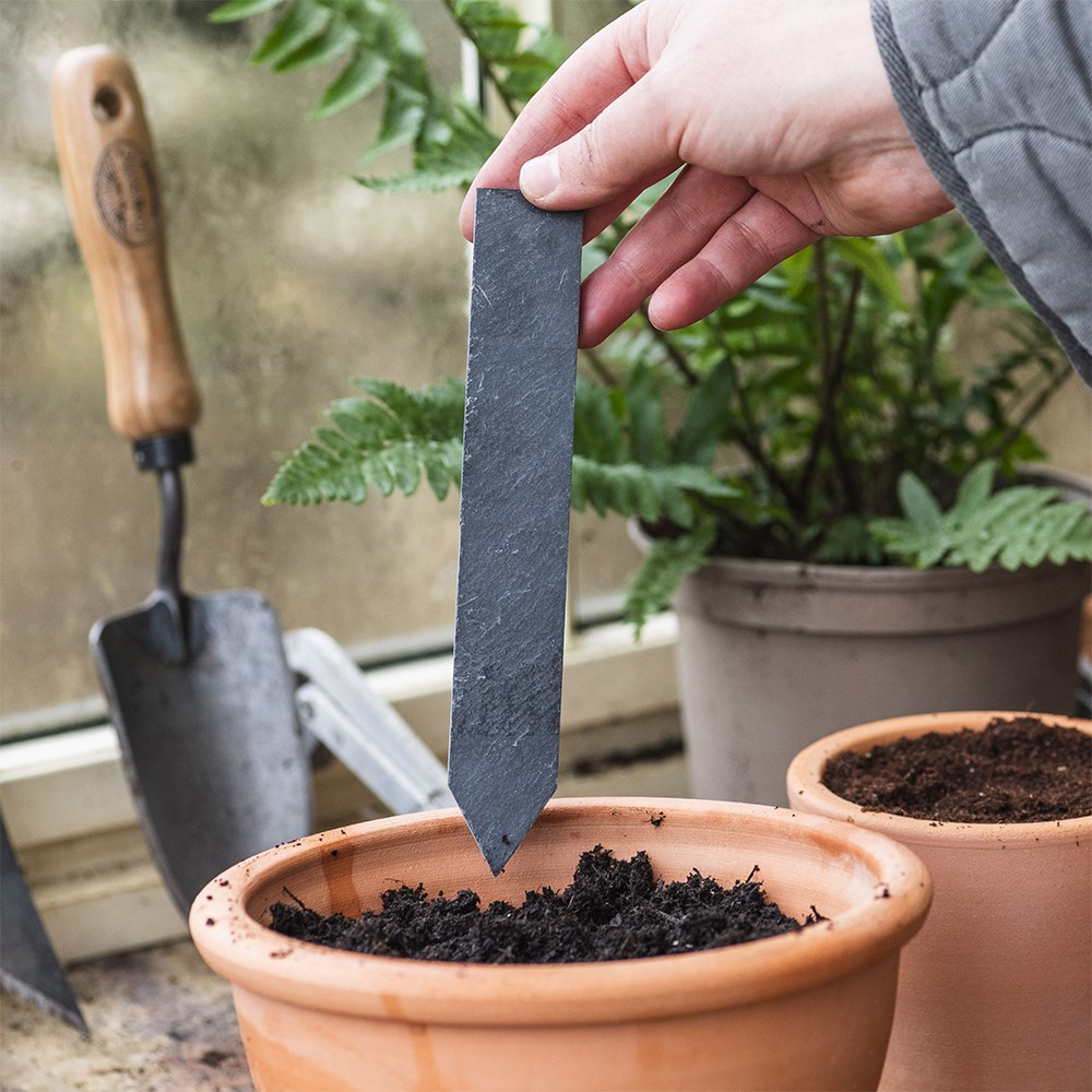 Slate plant labels with pencil - pack of 6