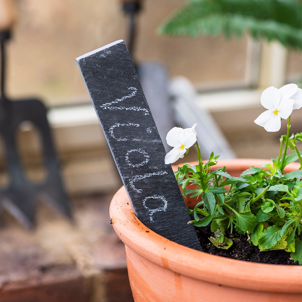 Slate plant labels with pencil - pack of 6