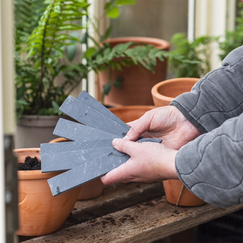 Slate plant labels with pencil - pack of 6