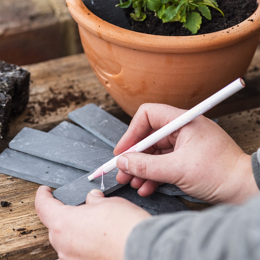 Slate plant labels with pencil - pack of 6