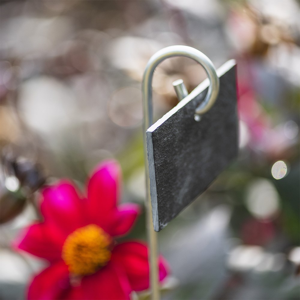 Slate plant label with metal stake