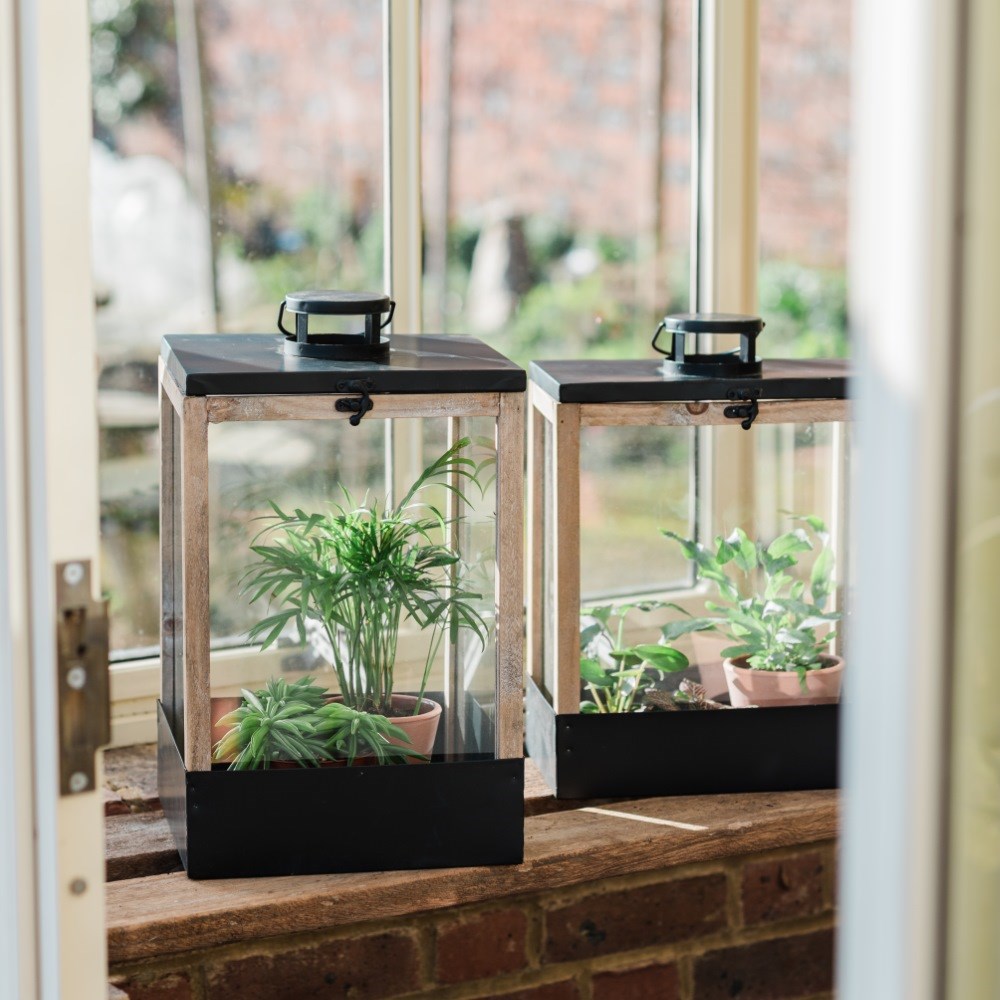 Greenhouse lantern