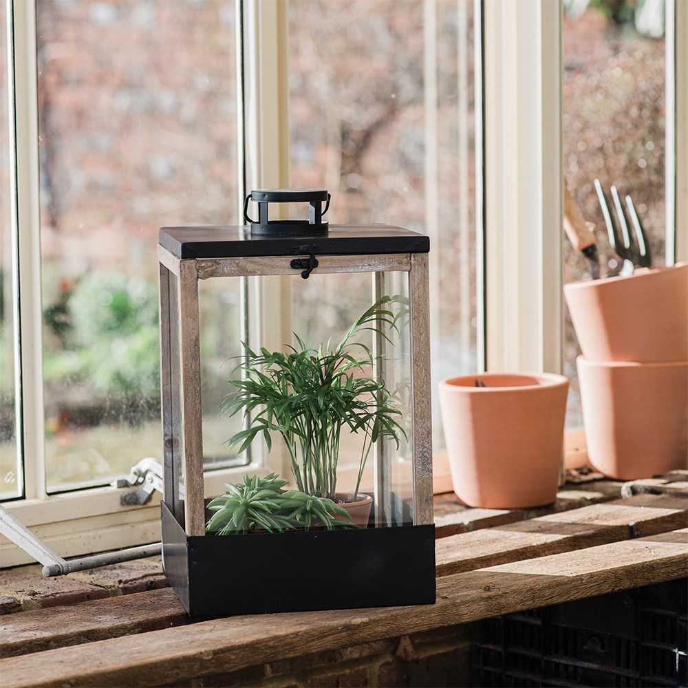 Greenhouse lantern