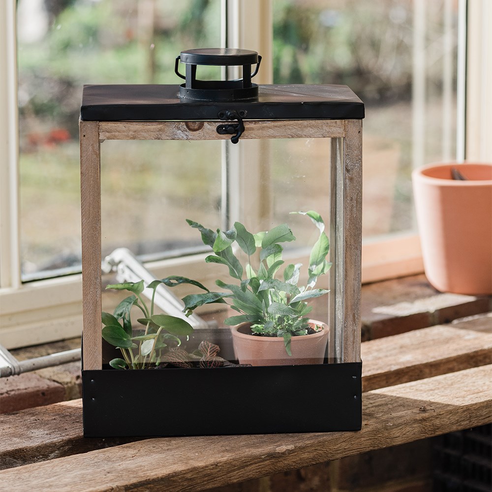 Greenhouse lantern