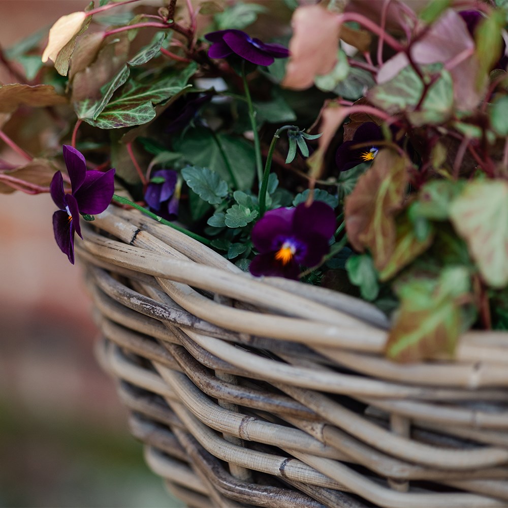 Hanging rattan basket 
