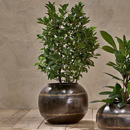 Reclaimed large iron globe plant pot - aged black