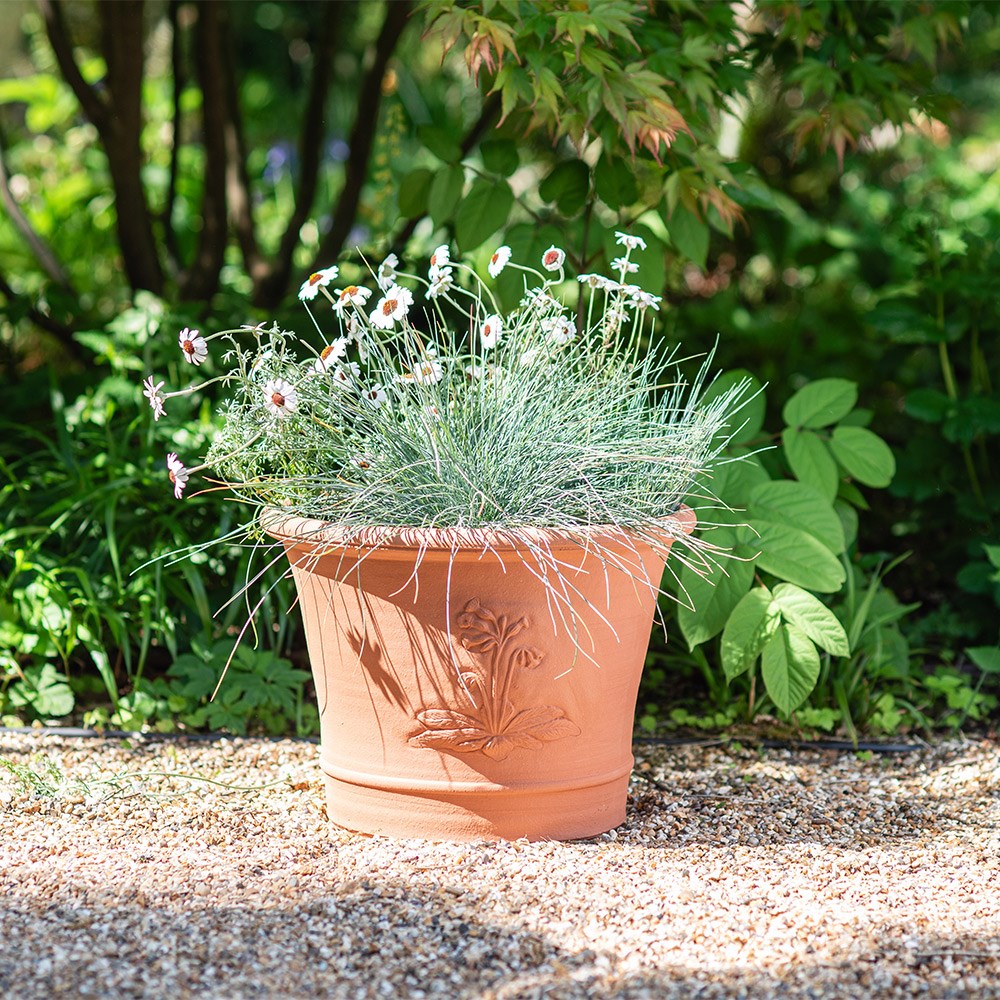 RHS cowslip pot