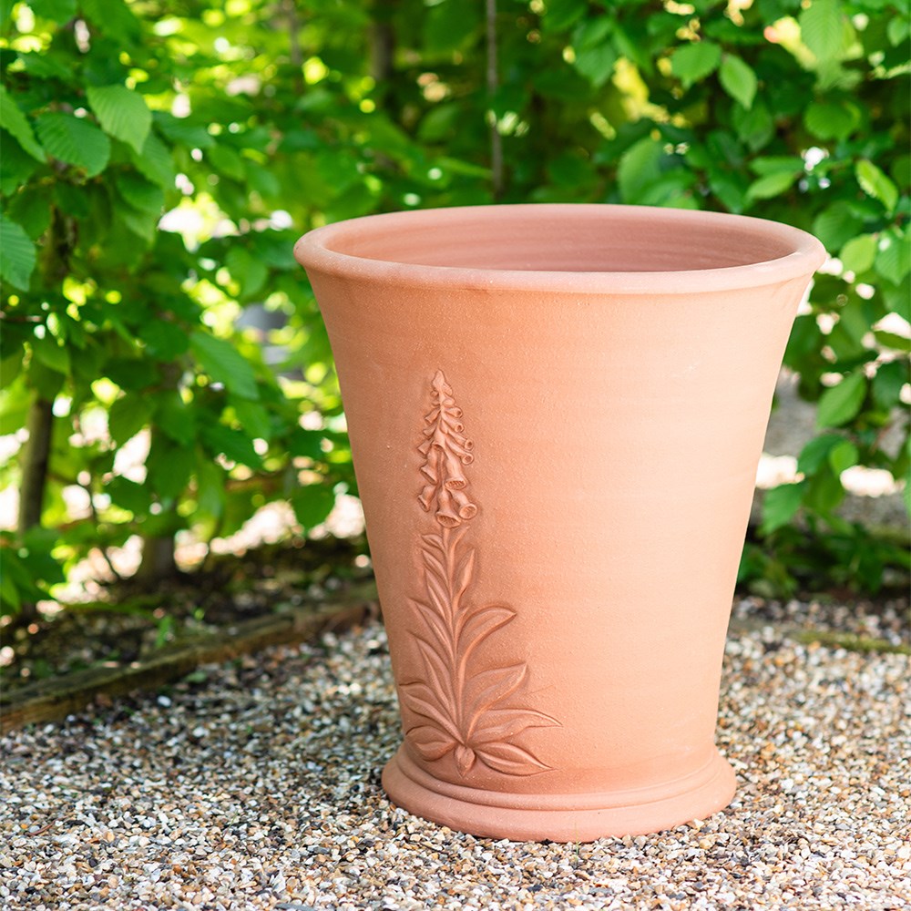 RHS foxglove pot
