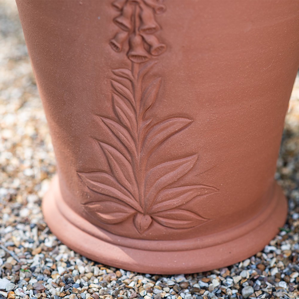 RHS foxglove pot