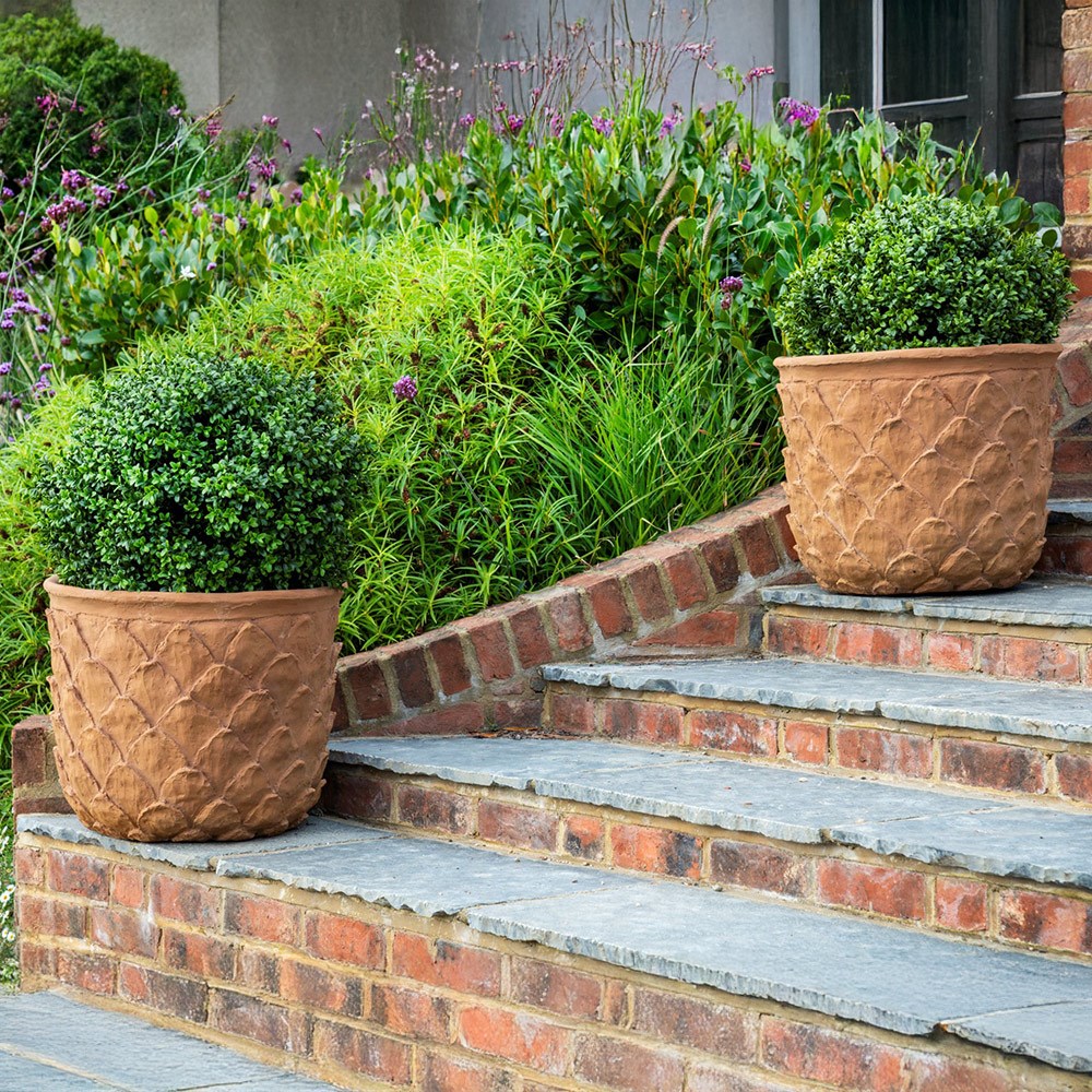 Lightweight pineapple planter