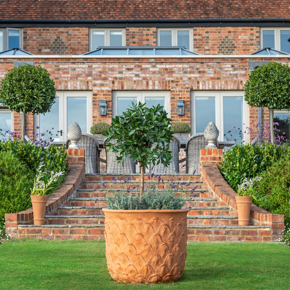 Lightweight pineapple planter