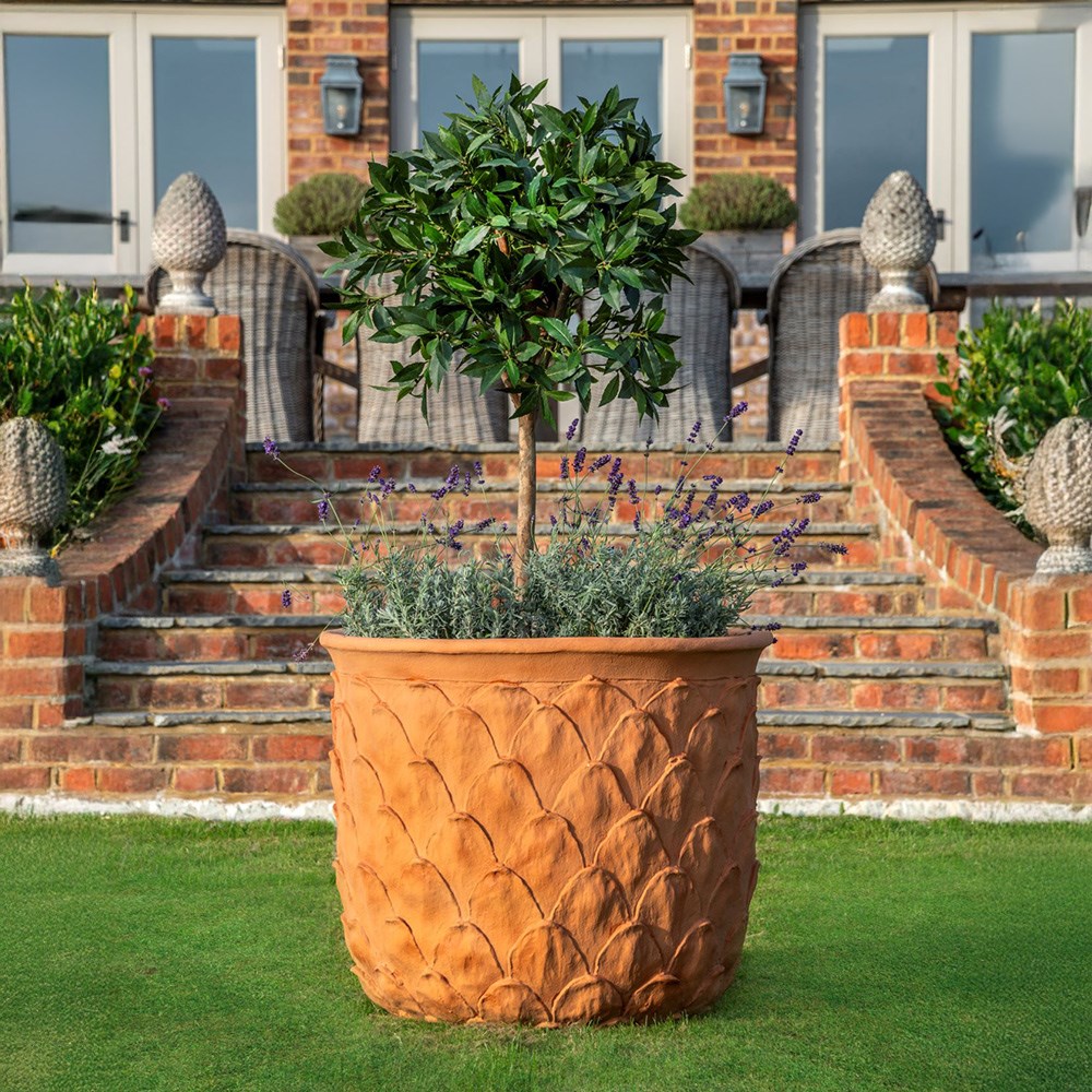 Lightweight pineapple planter