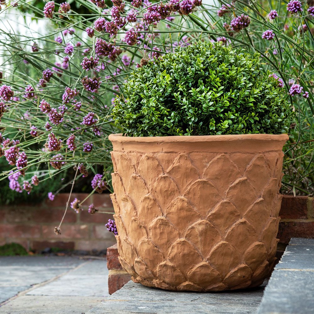 Lightweight pineapple planter