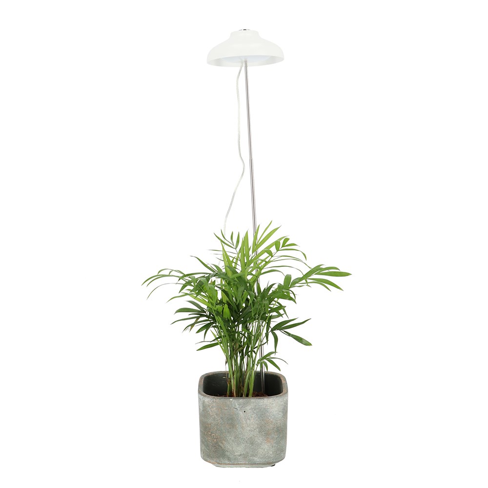 Indoor plant telescopic grow lamp
