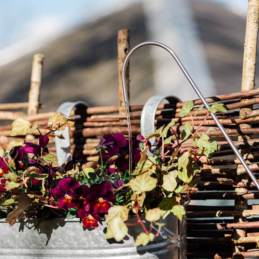 Watering aid for hanging baskets