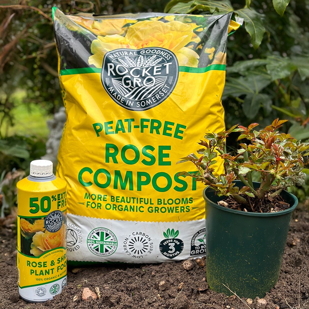 RocketGro rose compost