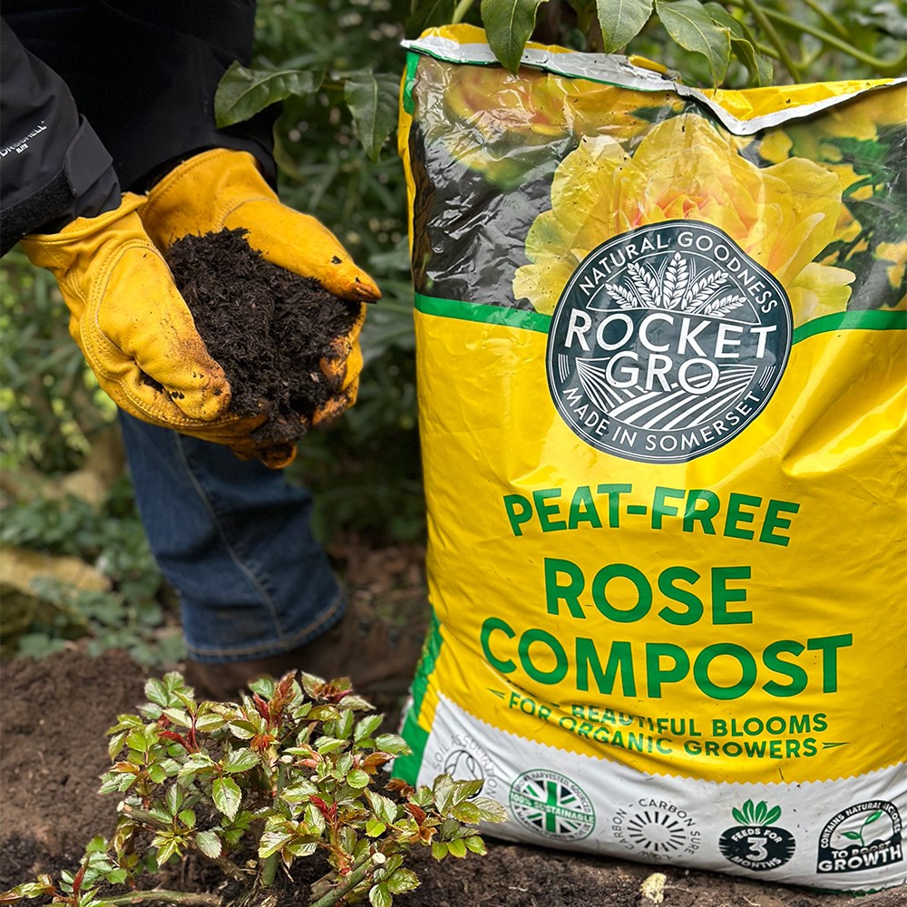 RocketGro rose compost