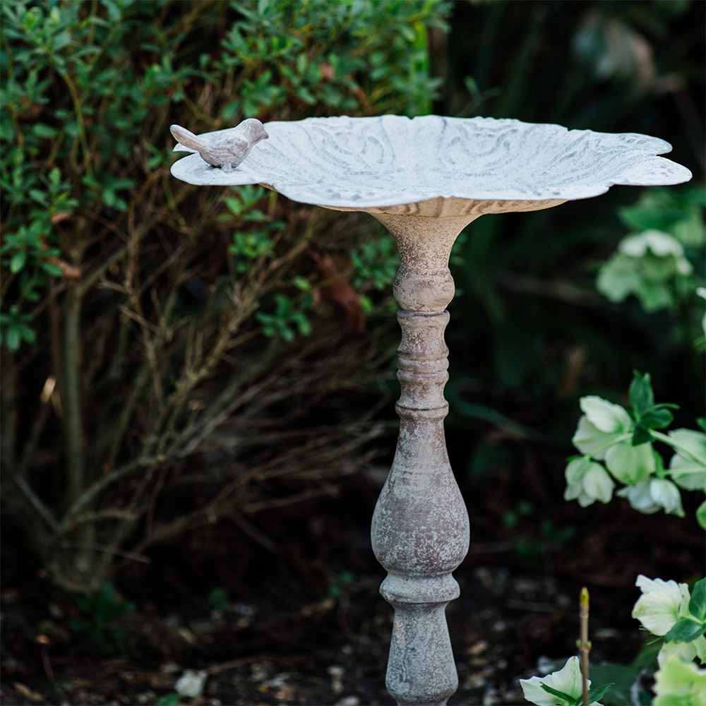 Aged standing bird bath - light grey
