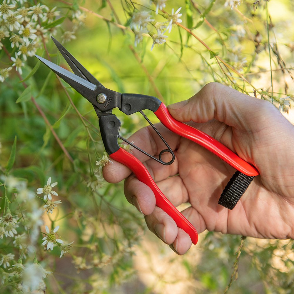 Niwaki garden snips