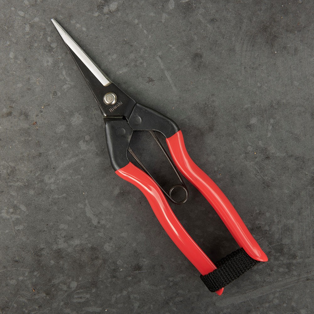 Niwaki garden snips