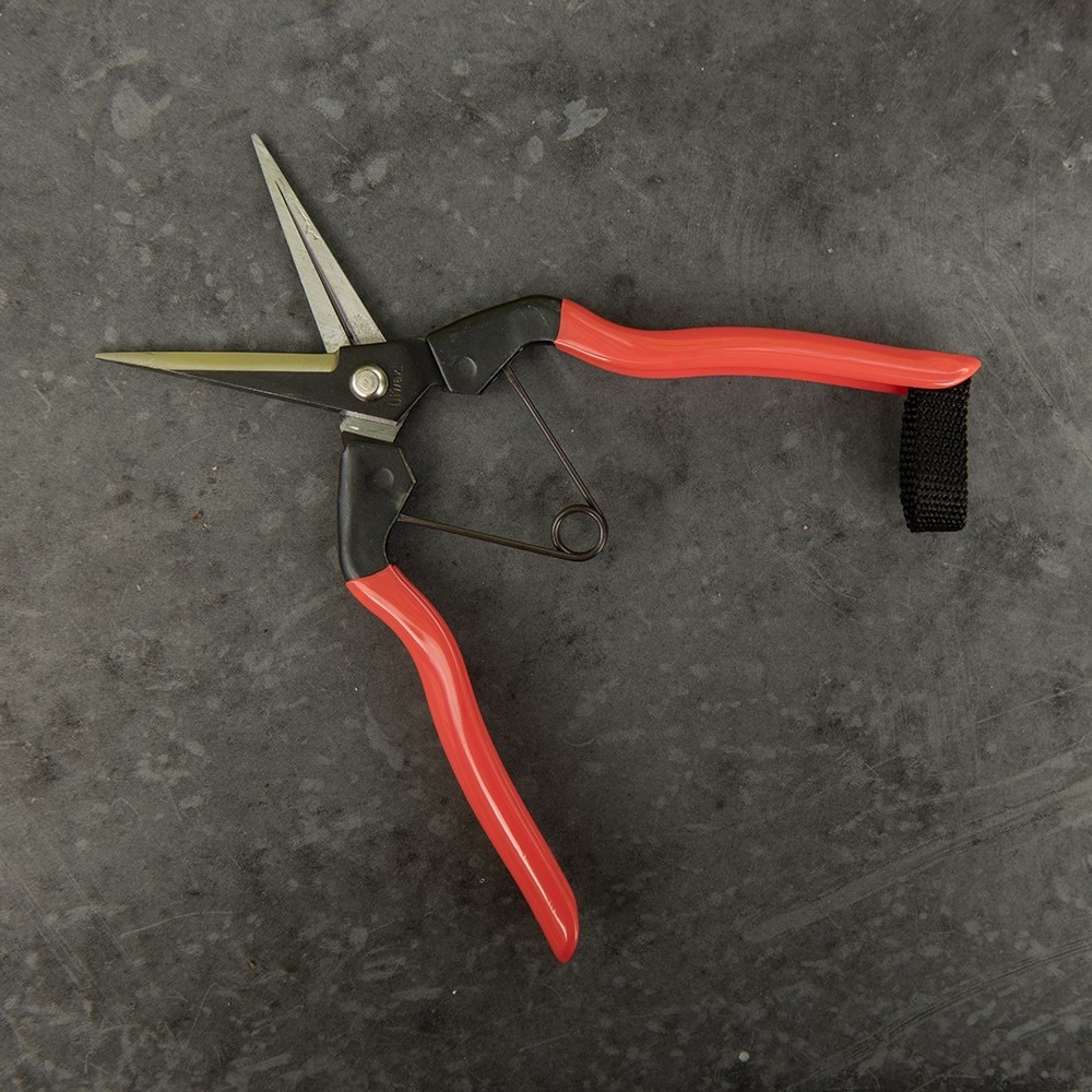 Niwaki garden snips