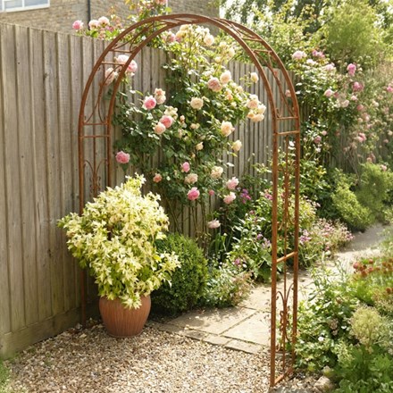 Elegant jasmine garden arch - rust