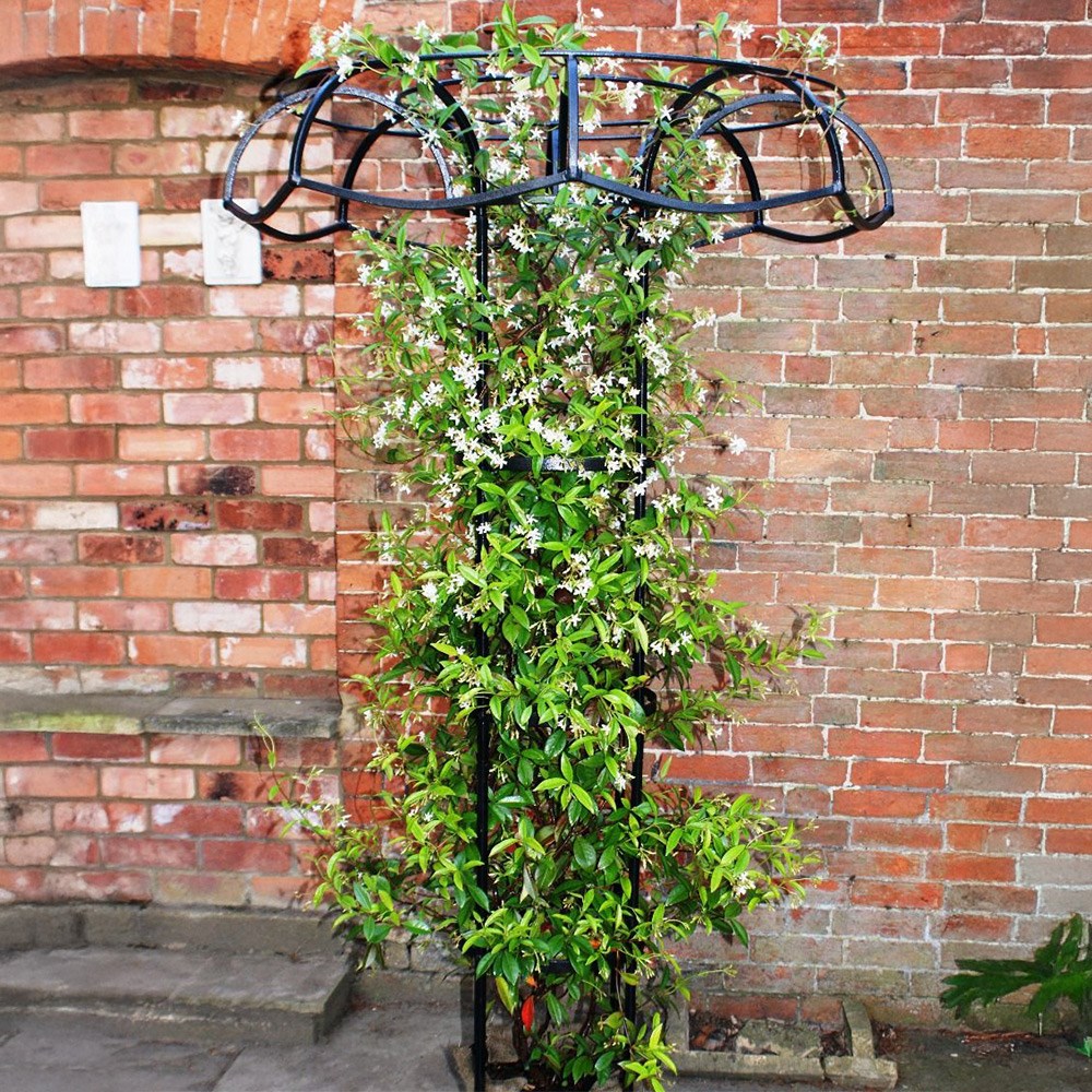 Large climbers tuteur plant support