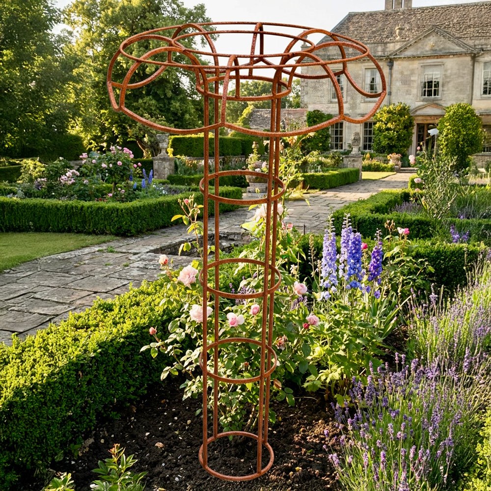 Large climbers tuteur plant support