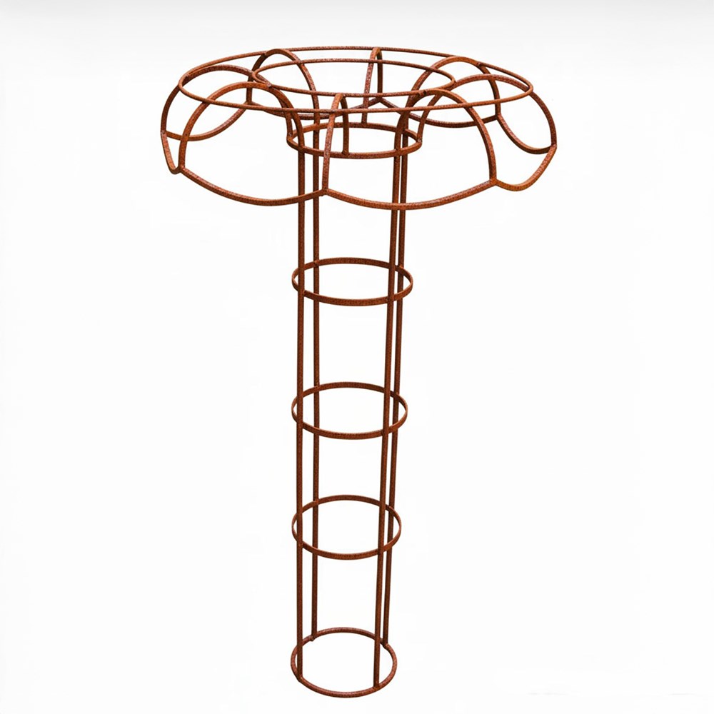 Large climbers tuteur plant support