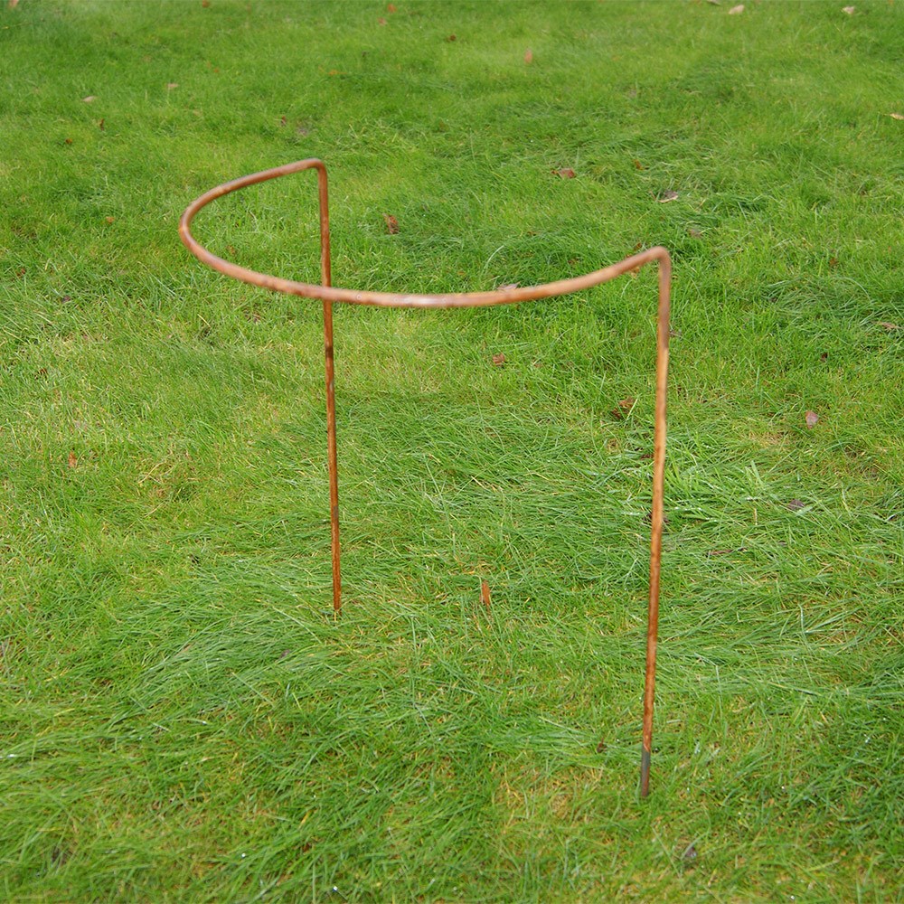 Border support - rust