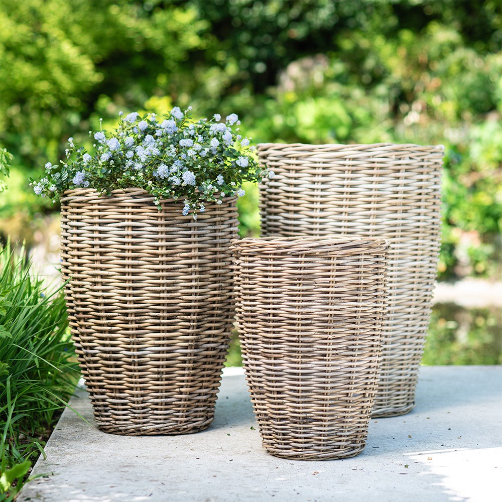 Tall tapered basket pot