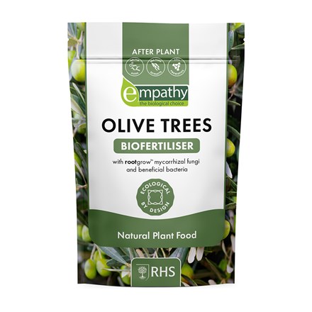 Empathy RHS after plant olive trees with rootgrow