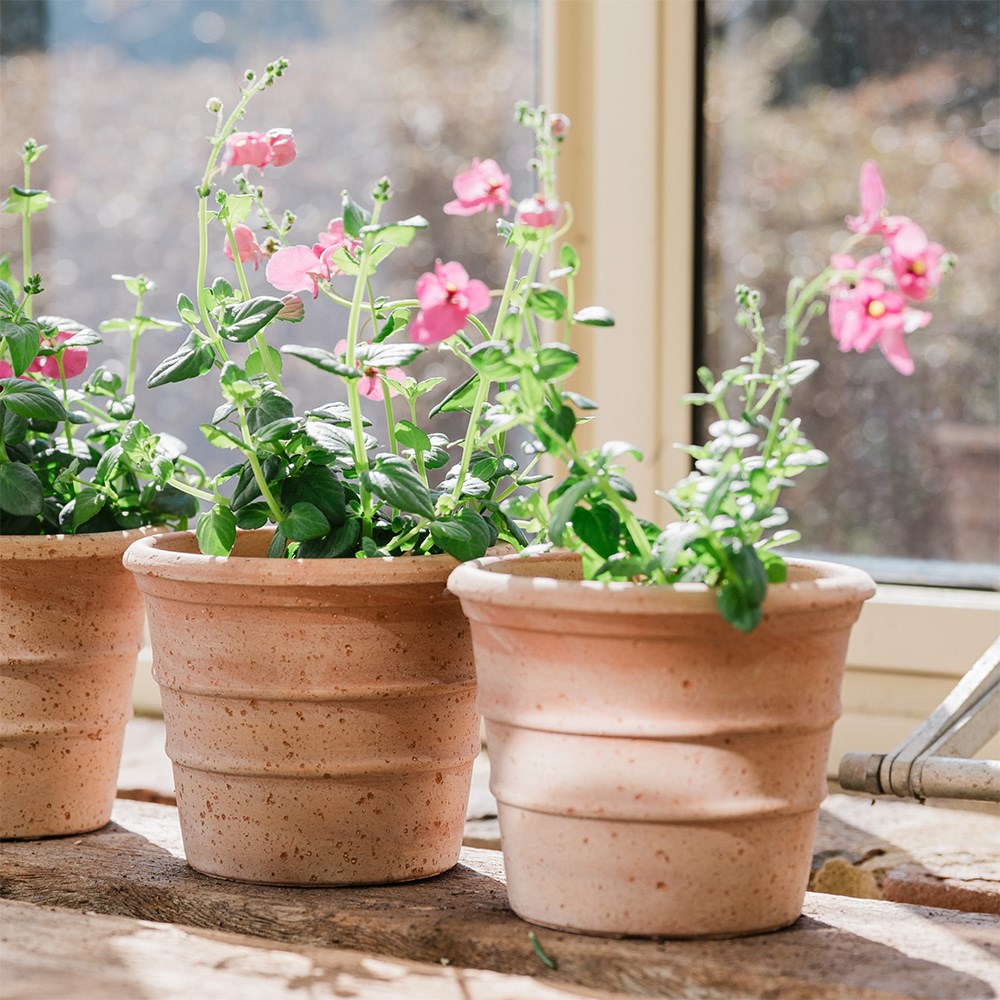 Mini ridged grow pot - terracotta