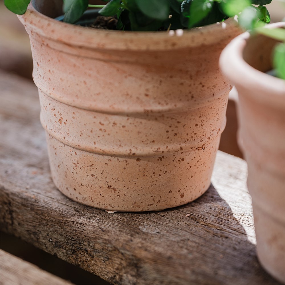 Mini ridged grow pot - terracotta