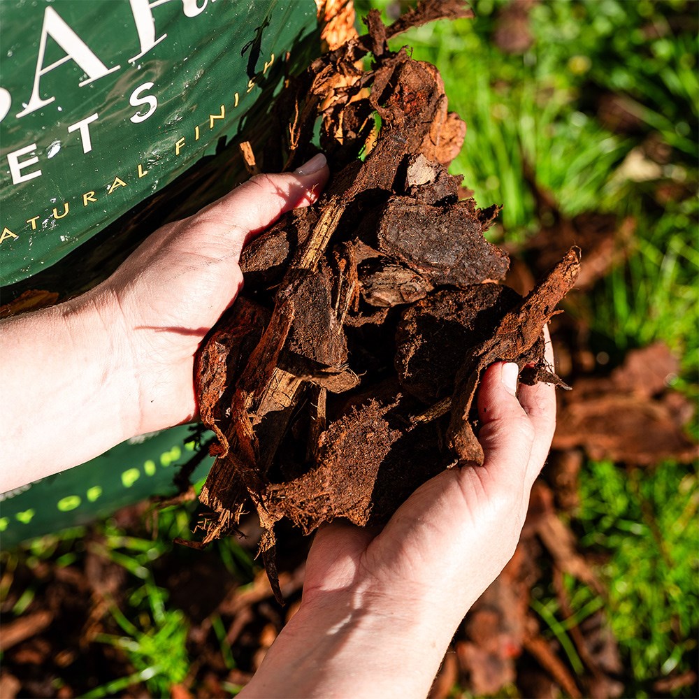 Premium pine bark nuggets