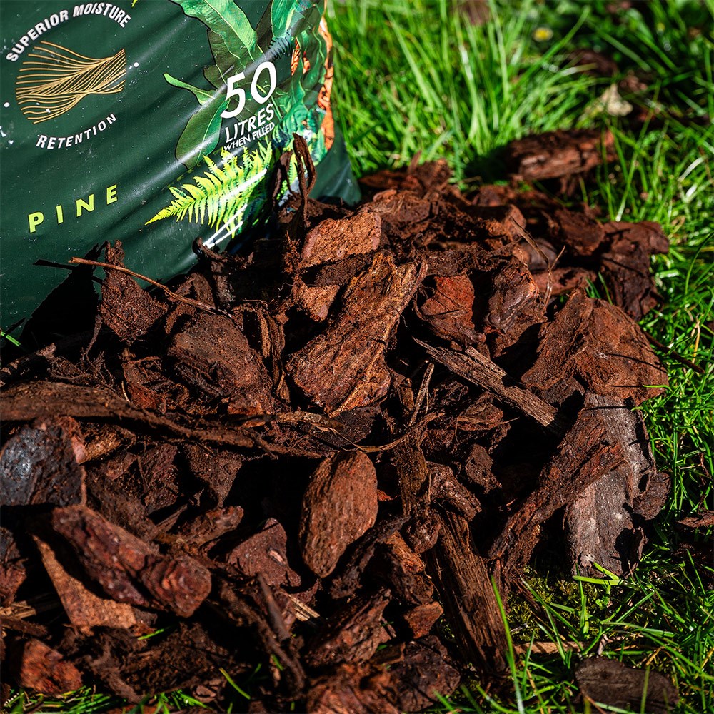 Premium pine bark nuggets