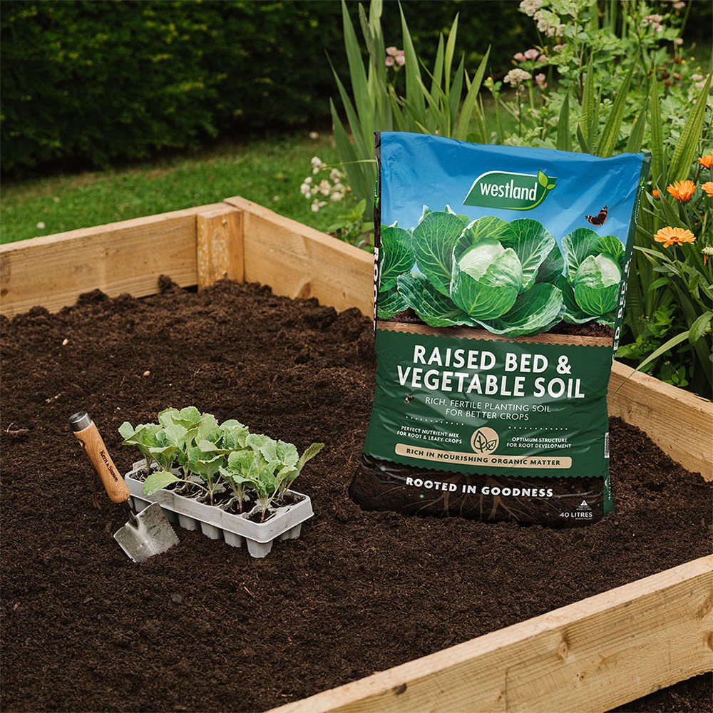 Peat-free raised bed & vegetable compost