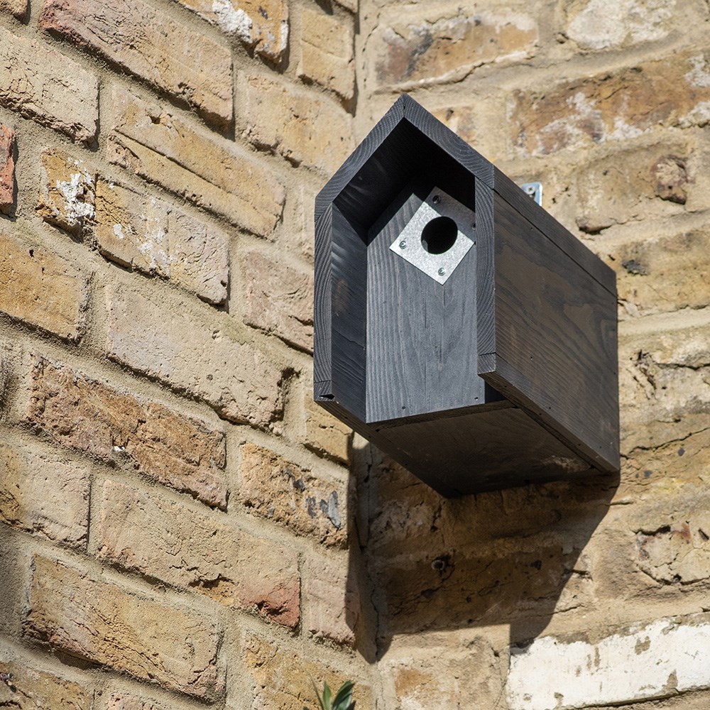 Tit box