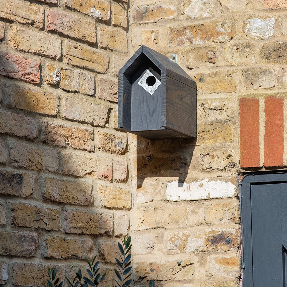 Tit box