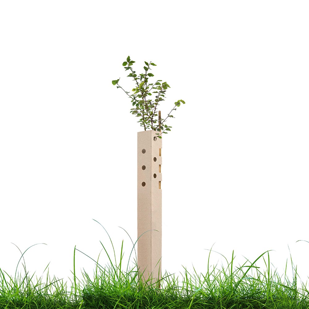 Biodegradable tree guards - pack of 5