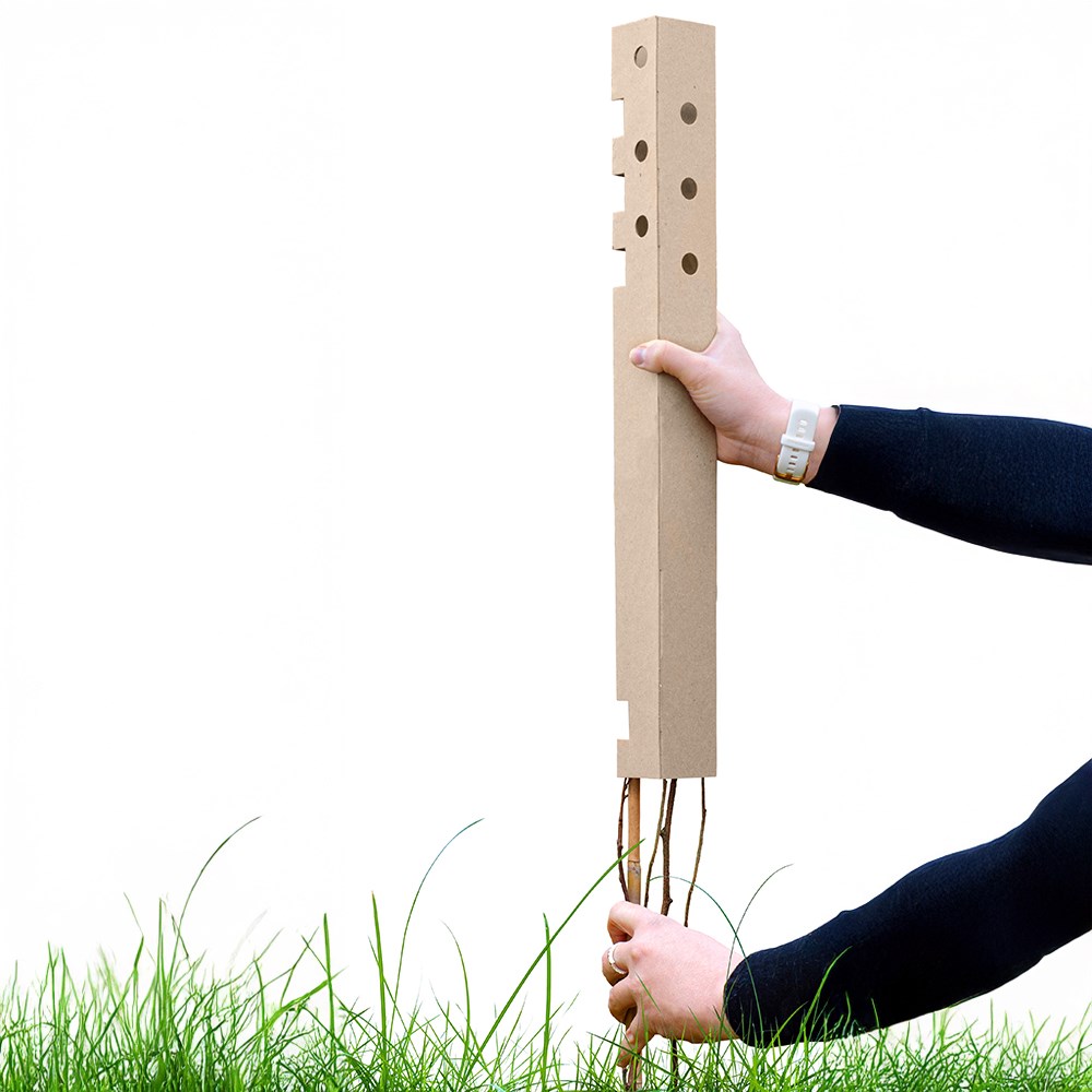 Biodegradable tree guards - pack of 5