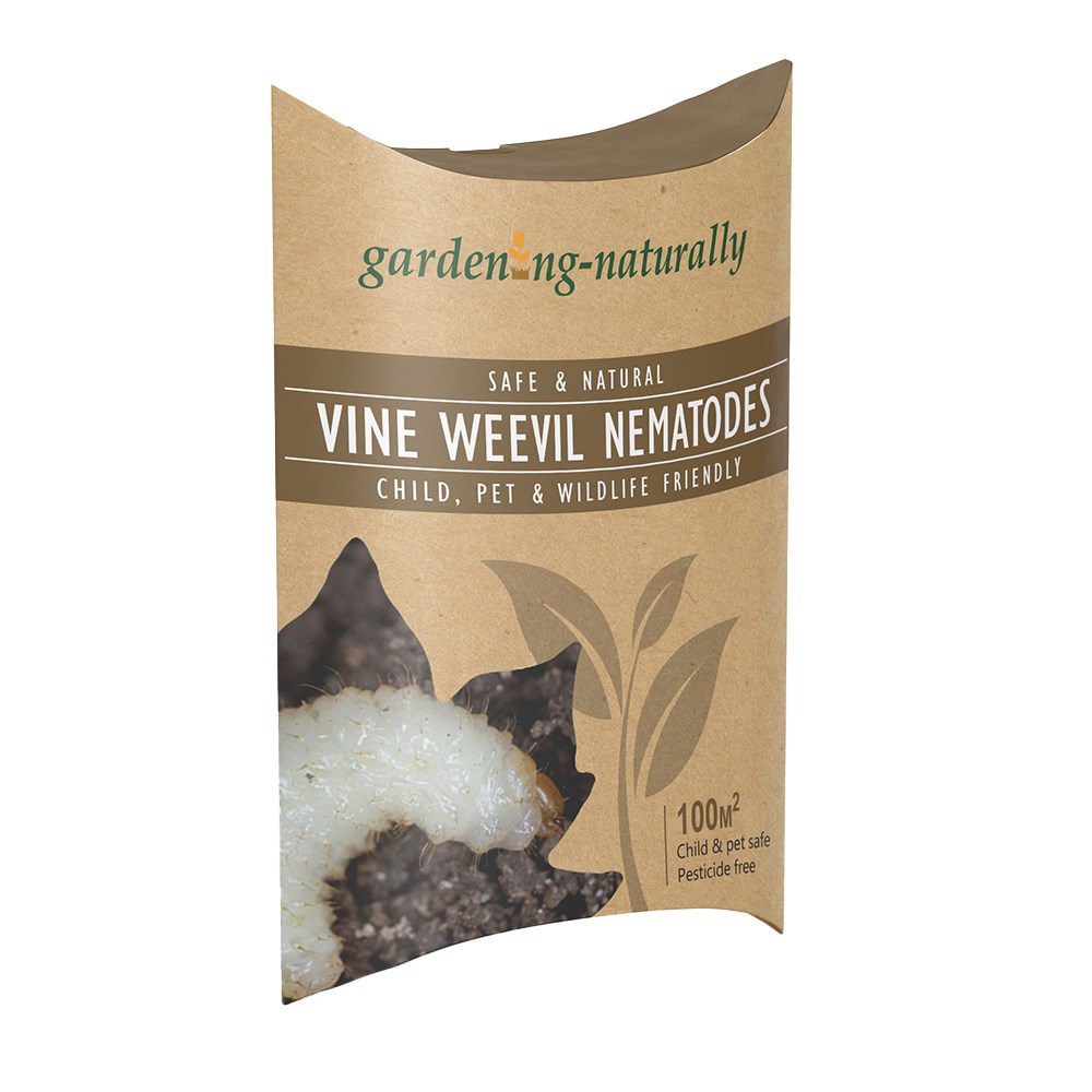 Vine weevil killer