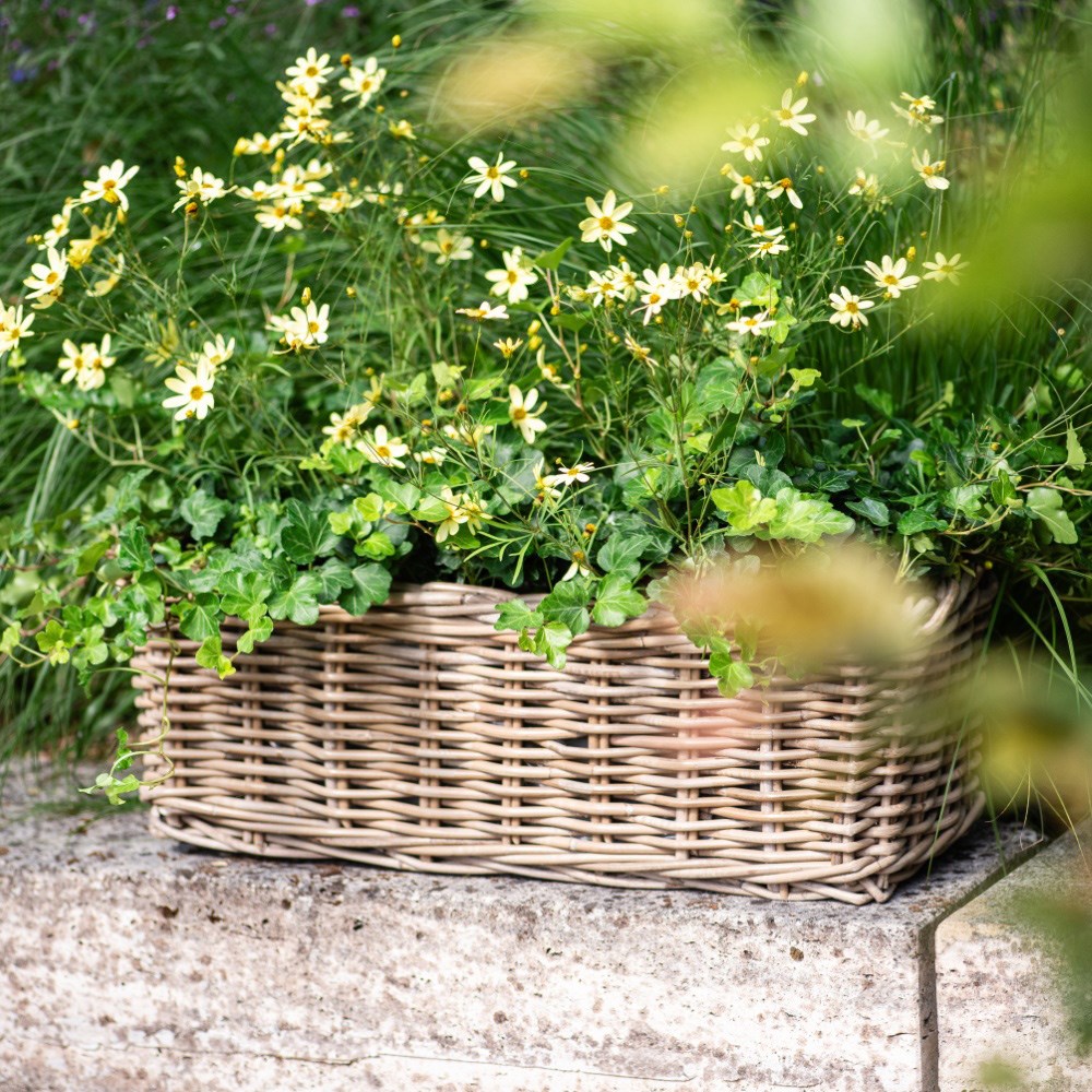 Classic rattan window box