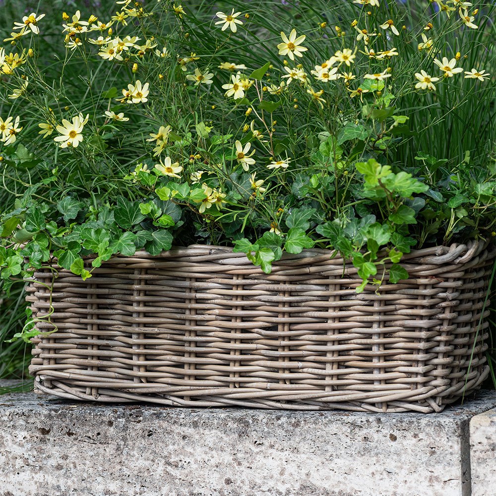 Classic rattan window box