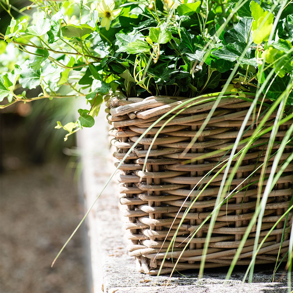 Classic rattan window box