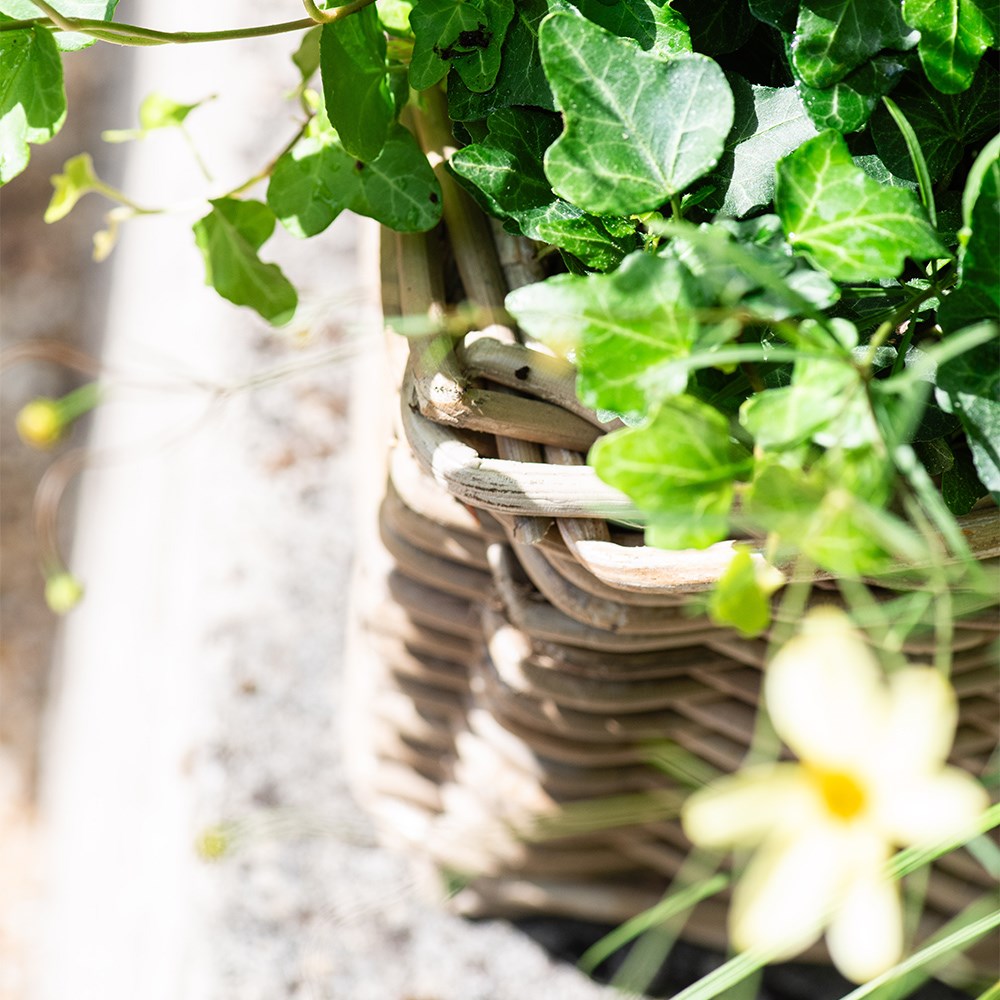 Classic rattan window box