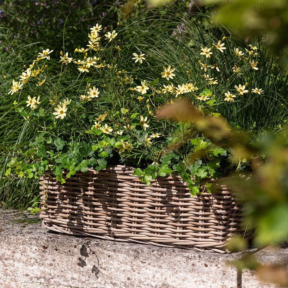 Classic rattan window box