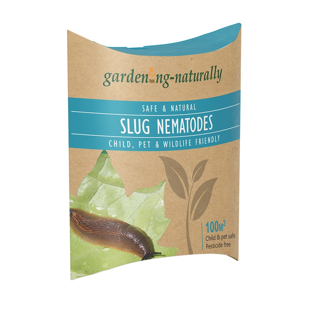Slug nematodes 