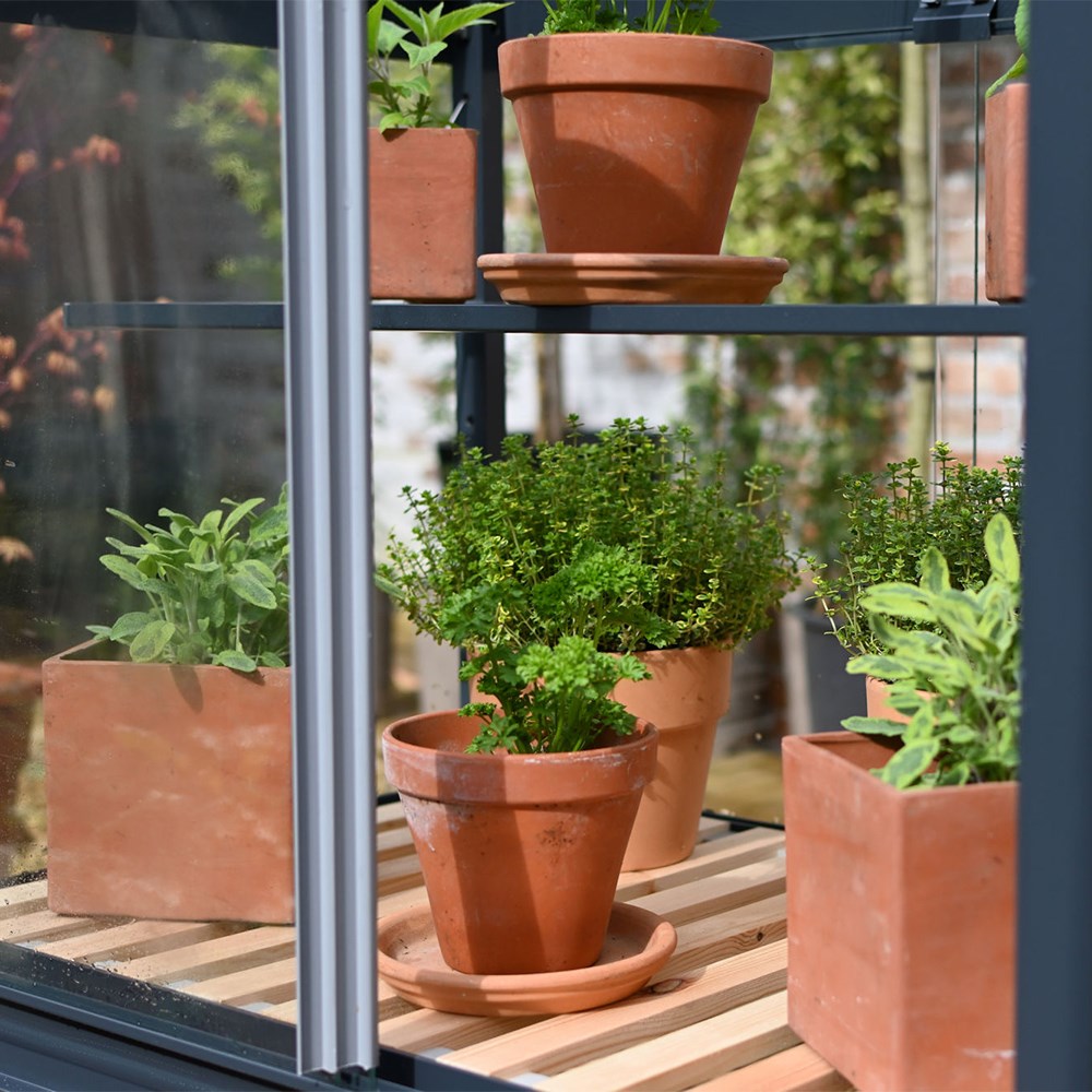 Compact growhouse - anthracite